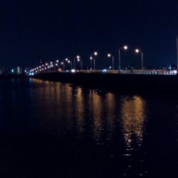 タチウオのはずが