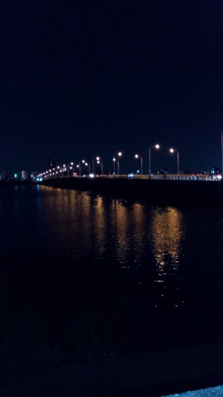 タチウオのはずが