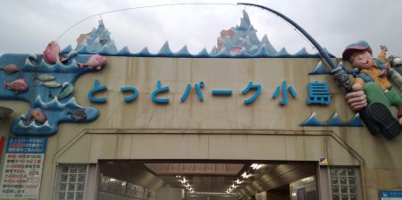 サビキのアイゴは、スリリング