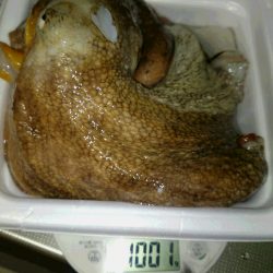 久しぶりのｋｇオーバー