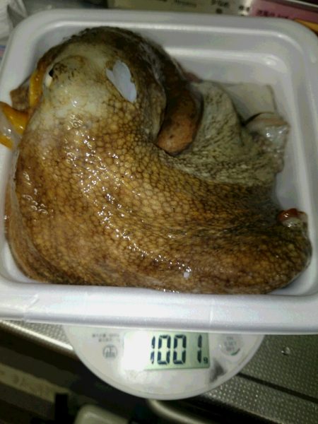 久しぶりのｋｇオーバー