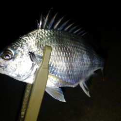 ニューポイント？！