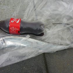 新月大潮なのに