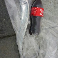 新月大潮なのに