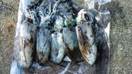 今年は成長が遅い