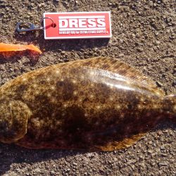 久美浜湾神崎周辺にて