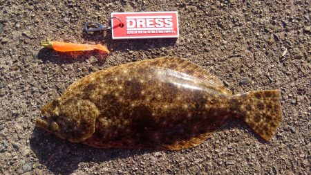 久美浜湾神崎周辺にて