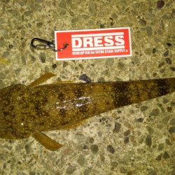 久美浜湾神崎周辺にて