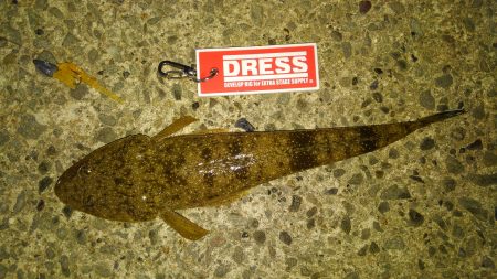 久美浜湾神崎周辺にて