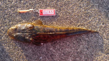 久美浜湾神崎周辺にて