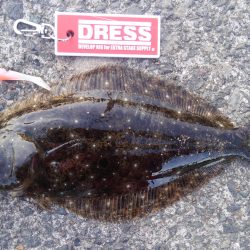 久美浜湾神崎周辺