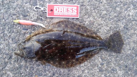 久美浜湾神崎周辺