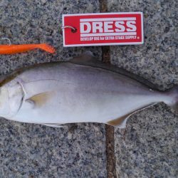 かぶと山公園にて