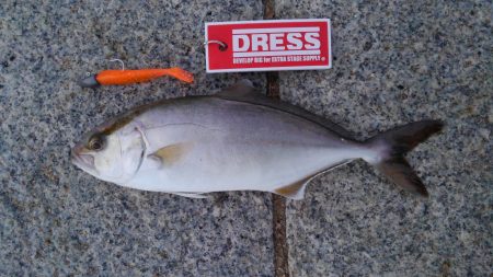 かぶと山公園にて