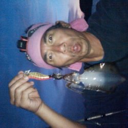 アオリいかだもん