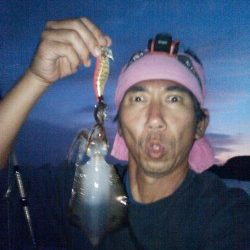 アオリいかだもん