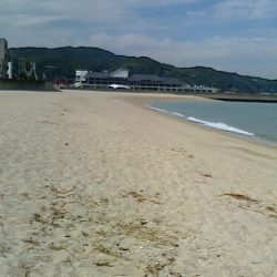 洲本でキス釣り