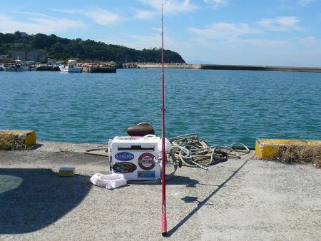 久しぶりの良型キス