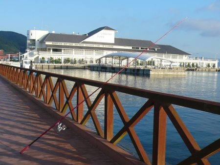 洲本港でキス狙い