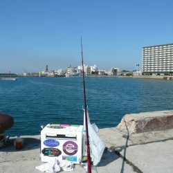 近場の明石港でキス狙い