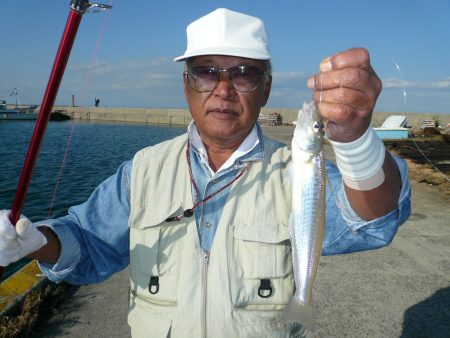 江井でリベンジキス