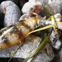 場所によって偏りが・・・