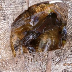 10時30分よりプチラッシュ♪