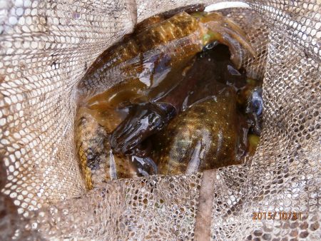 10時30分よりプチラッシュ♪