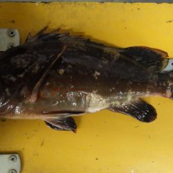 厳しかったです