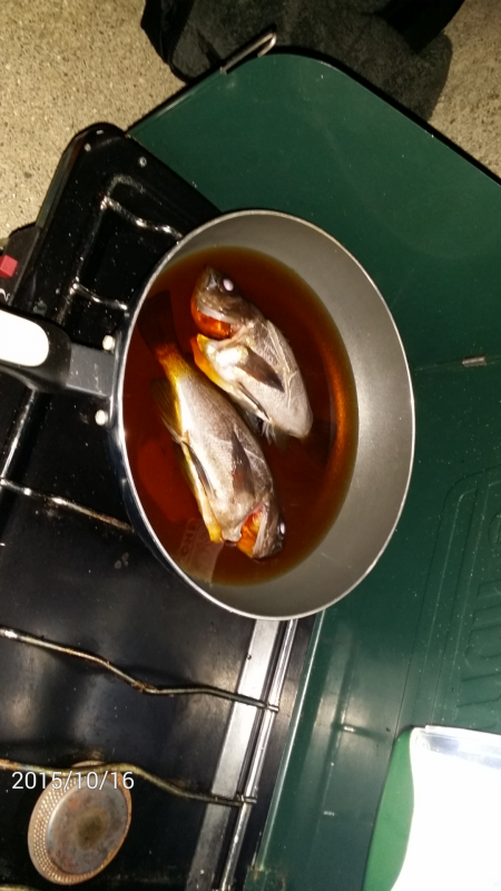 マーブルビーチで釣果上がってたので…