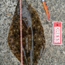 久美浜湾神崎周辺にて