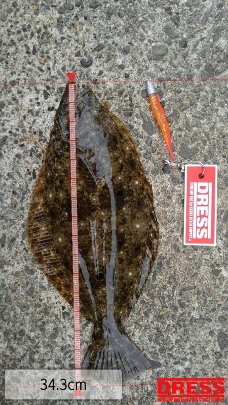 久美浜湾神崎周辺にて