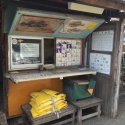 タチウオ。渋い、、、