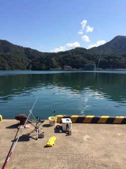 またまたサヨリ