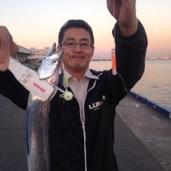 タチウオは裏切らない