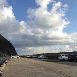 ジギング初釣行