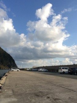 ジギング初釣行