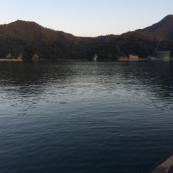 風が強くて、、、