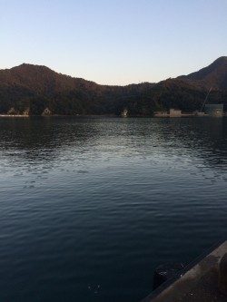 風が強くて、、、