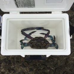 落ちギス探索➕おまけ笑