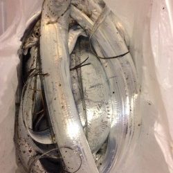 ネットで調べて遠征しました。