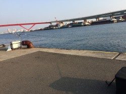 太刀魚 引き釣り