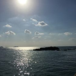 エギングのちジギング