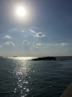 エギングのちジギング