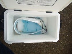 早朝ボイルで爆釣の筈が、、、