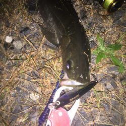 休日出勤帰りに一本