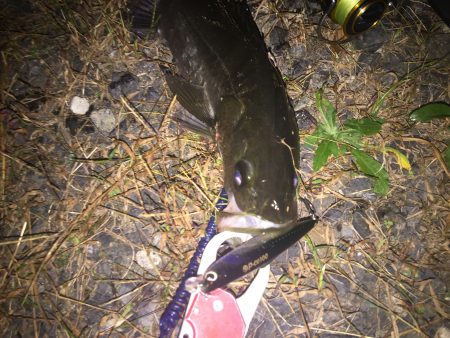 休日出勤帰りに一本