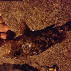 初めての林崎漁港