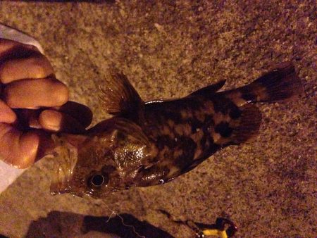 初めての林崎漁港