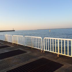 出勤前の短時間釣行で太刀魚